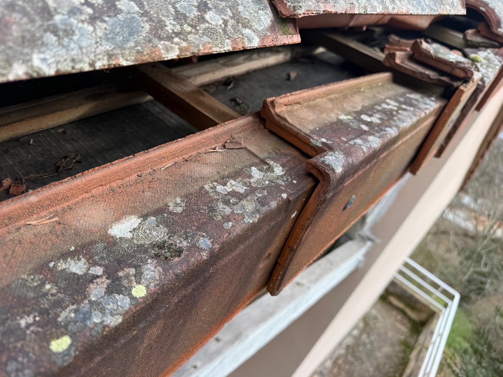 Charpente couvreur Moselle