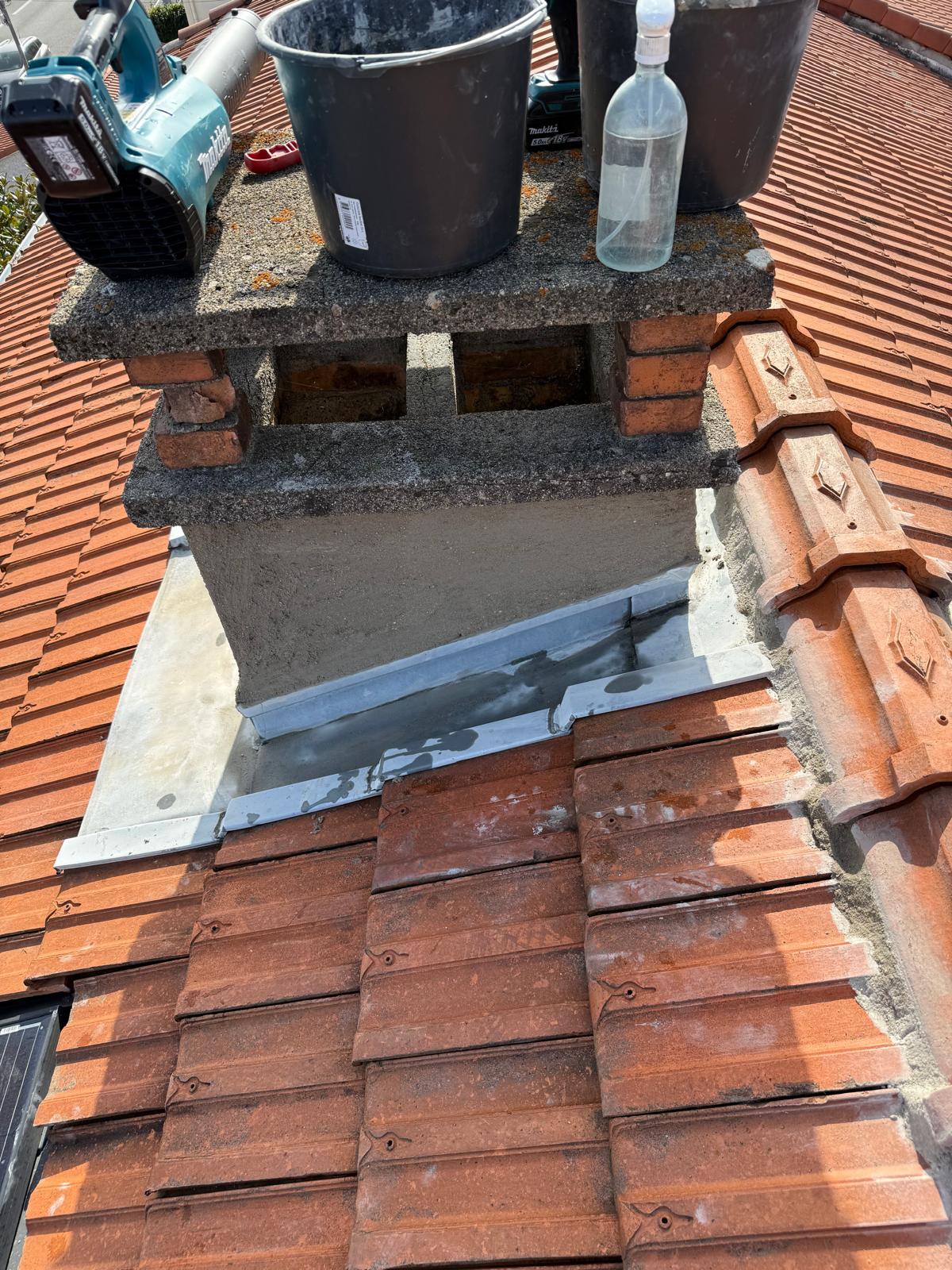 Démoussage toiture professionnel Moselle